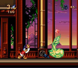 donald in maui mallard_01