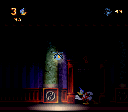 donald in maui mallard_03