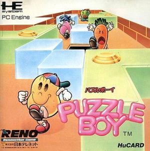 puzzle boy