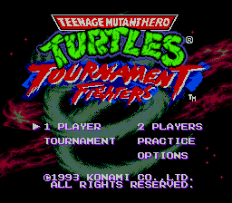 turtles ninja fighters_01