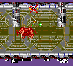 rabio lepus special_04